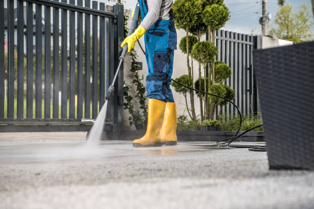 Best Pressure Washing Patio  in USA