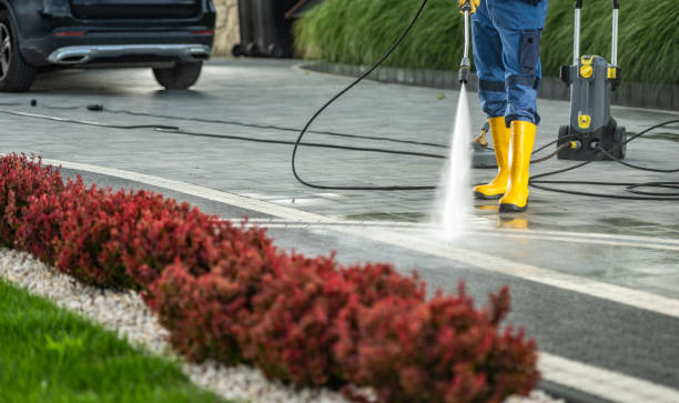 Best Residential Pressure Washing Services  in USA